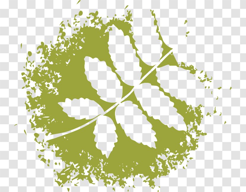 Leaf - Plant Stem - Flora Transparent PNG