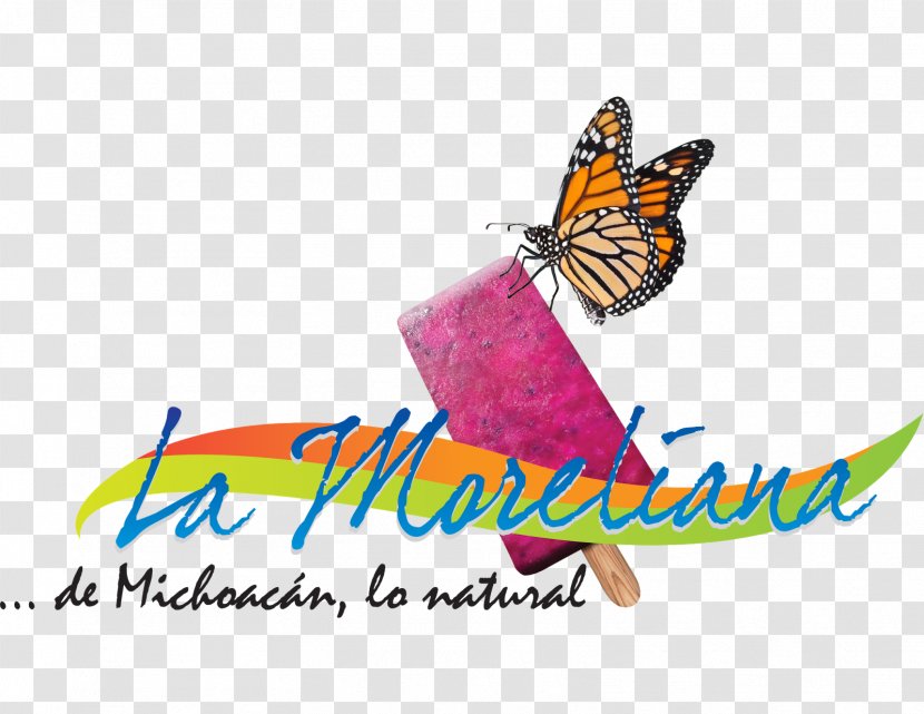 Logo Ice Cream José Matías Delgado University Graphic Design - Butterfly Transparent PNG
