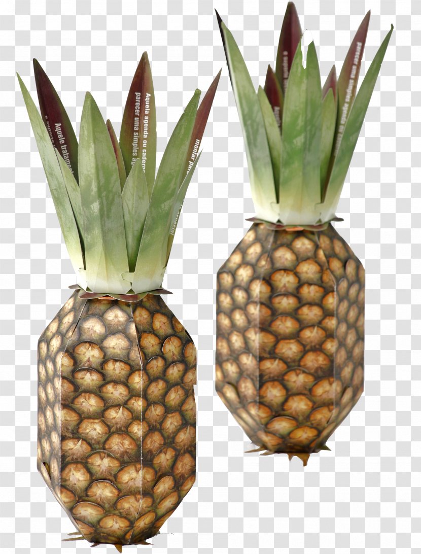 Pineapple Corgraf Graphic Design Corporate - Drawing Transparent PNG