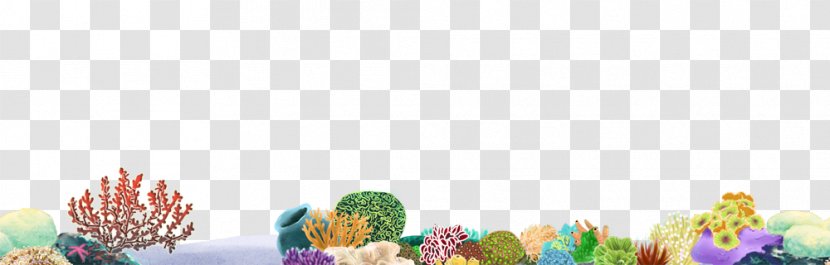 Coral Reef Desktop Wallpaper Clip Art - Reefs Transparent PNG