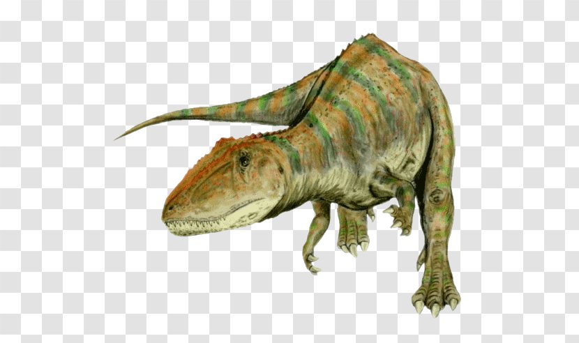 Carcharodontosaurus Giganotosaurus Tyrannosaurus Spinosaurus Allosaurus - Velociraptor - Dinosaur Transparent PNG