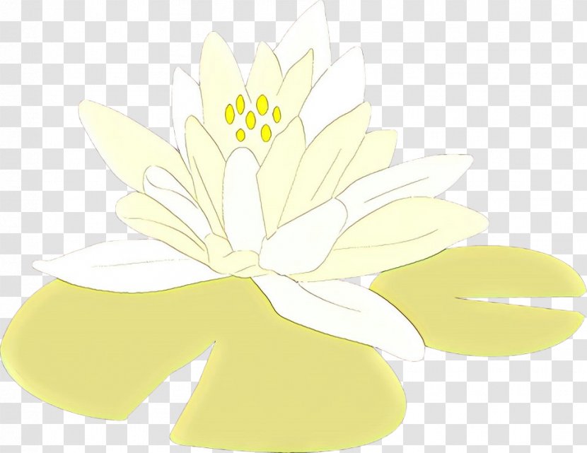 Flowers Background - Floral Design - Herbaceous Plant Iris Transparent PNG