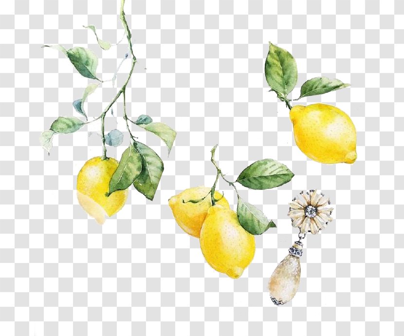 Visual Arts Lemon Watercolor Painting Illustration - Drawing - FIG Painted Material Transparent PNG