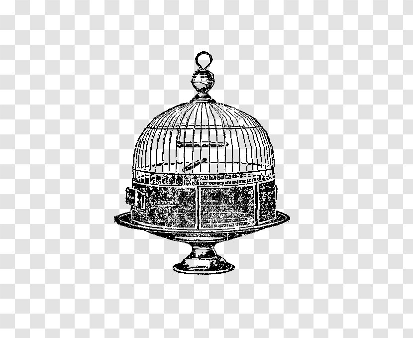 Birdcage Domestic Canary - Black And White - Bird Cage Transparent PNG