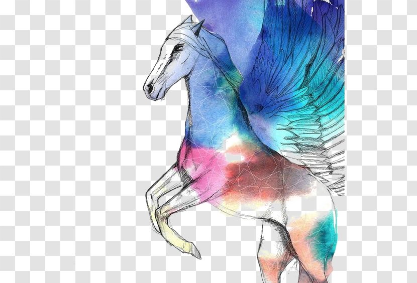 Horse Watercolor Painting Illustration - Pegasus Transparent PNG