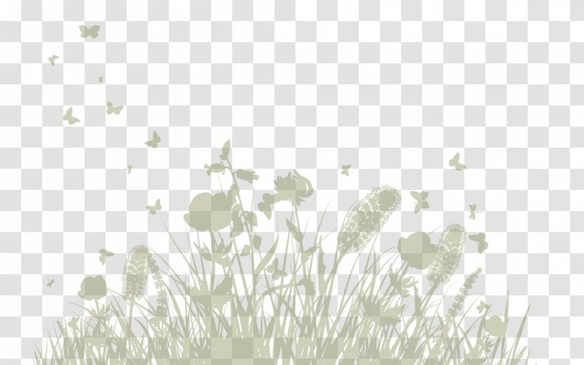 Pixta Illustration Photography Royalty-free - Grass - 12 Bis Transparent PNG