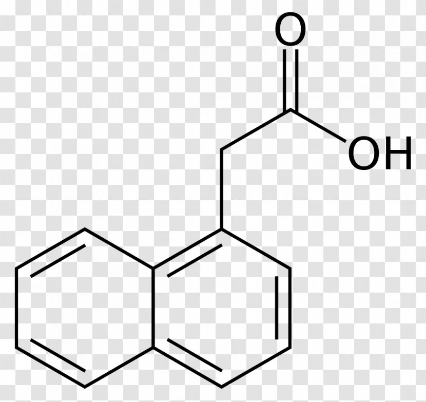 Dicarboxylic Acid Chemical Compound 1-Naphthaleneacetic - Frame - Cartoon Transparent PNG