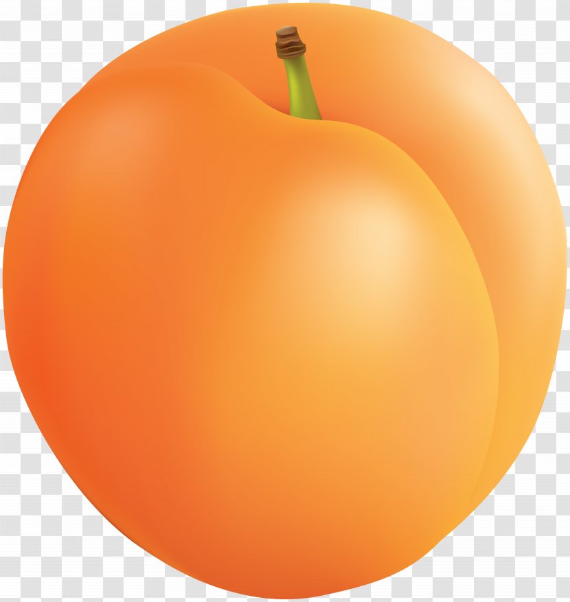 Apricot Fruit Clip Art - Orange Transparent PNG