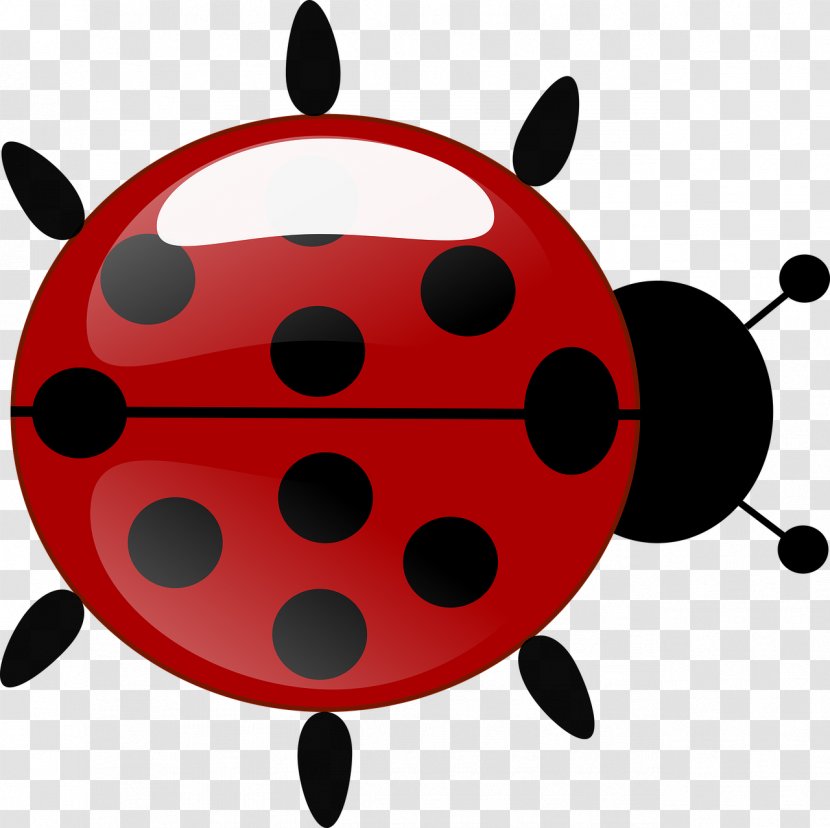 Beetle Ladybird Antenna Clip Art - Animal - Ladybug Transparent PNG