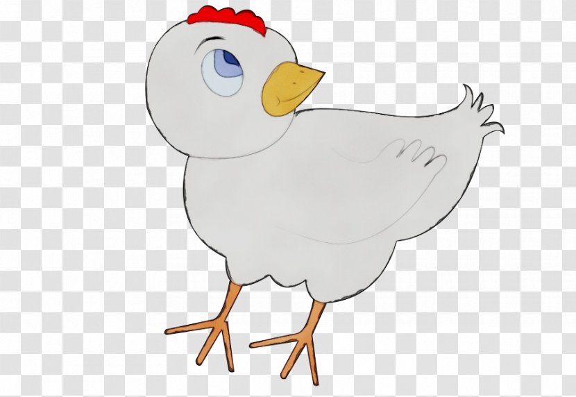 Watercolor Cartoon - Drawing - Animation Poultry Transparent PNG