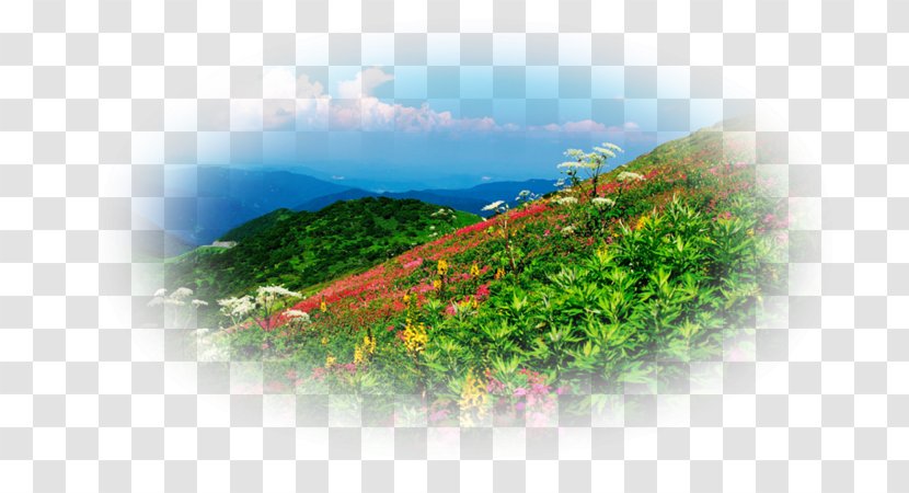 Desktop Wallpaper Hill Station Vegetation Computer - Mountain Landscape Transparent PNG