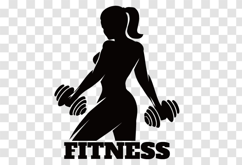 Fitness Centre Silhouette Physical - Weight Training - Female Muscle Barbell Transparent PNG
