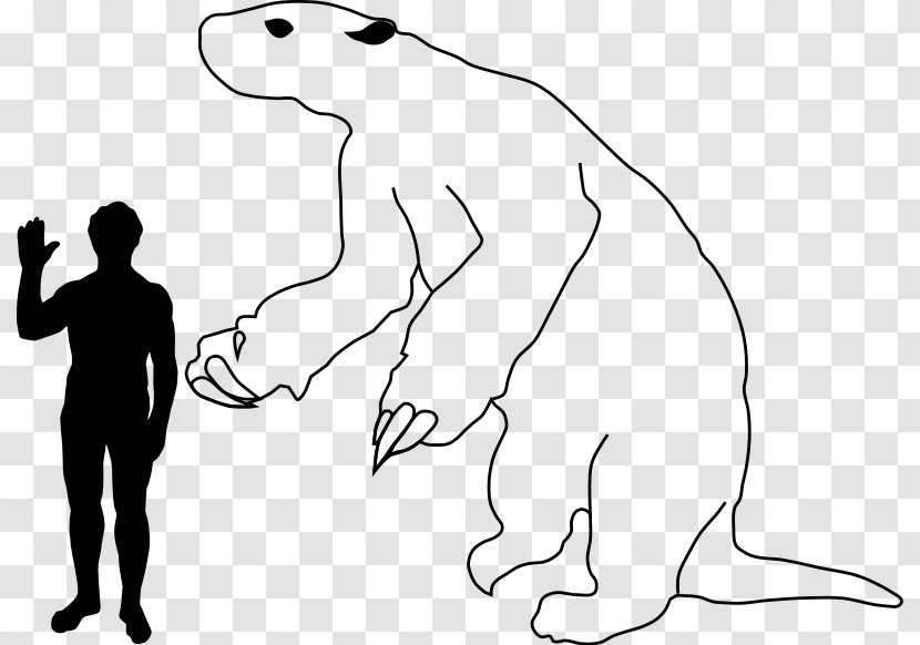 Megalonyx Giant Ground Sloth Glyptodon Hoffmann's Two-toed - Silhouette Transparent PNG