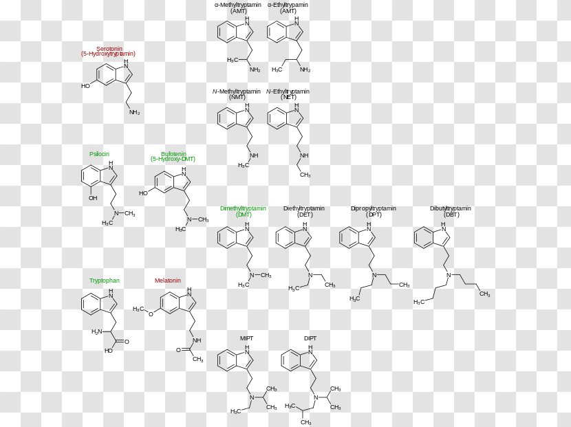 N,N-Dimethyltryptamine Serotonin Melatonin Tryptophan - Indole Transparent PNG