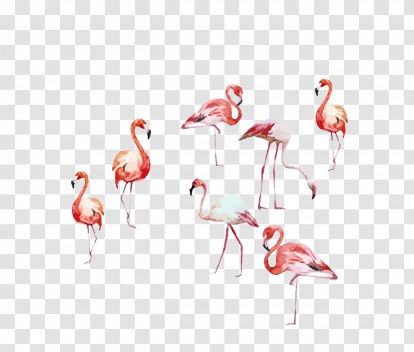 Flamingo Watercolor Painting Art Illustration - Seven Different Forms Of Flamingos Transparent PNG