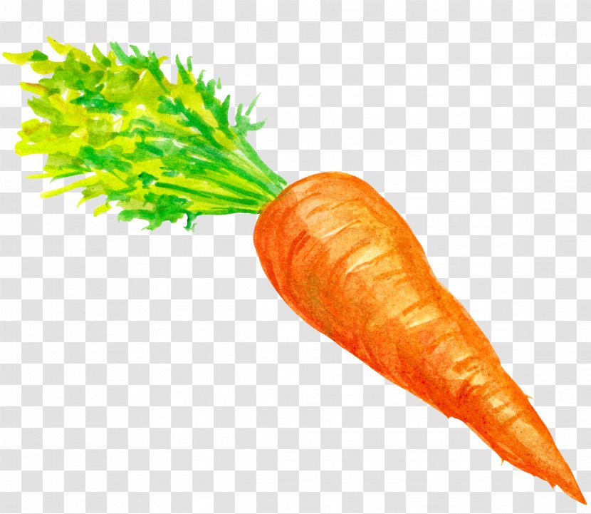 Baby Carrot Vegetable - Organism - Decoration Transparent PNG