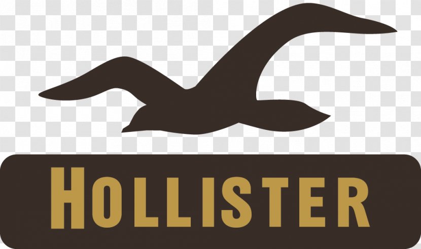 Hoodie Hollister Co. T-shirt Clothing Logo - Ducks Geese And Swans Transparent PNG