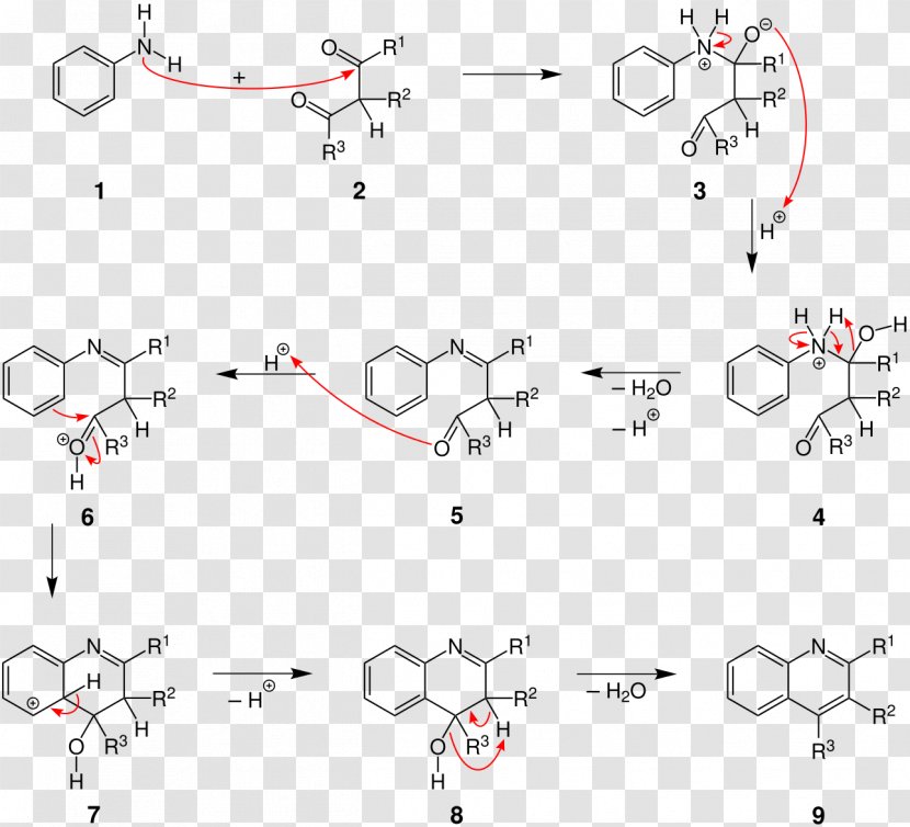 Combes Quinoline Synthesis Doebner–Miller Reaction Doebner Mechanism Organic - Flower - Creative Chin Transparent PNG