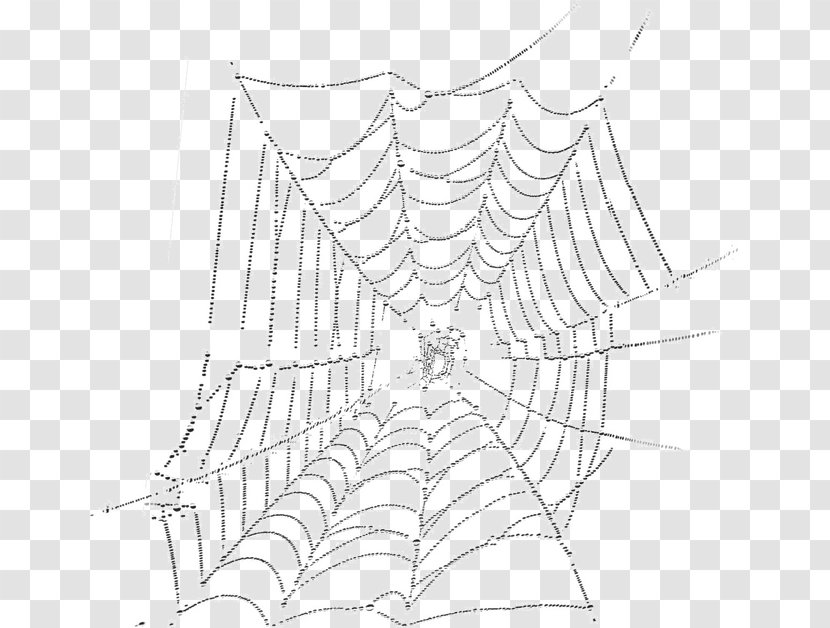 Spider Web Drawing Silk - Black And White Transparent PNG