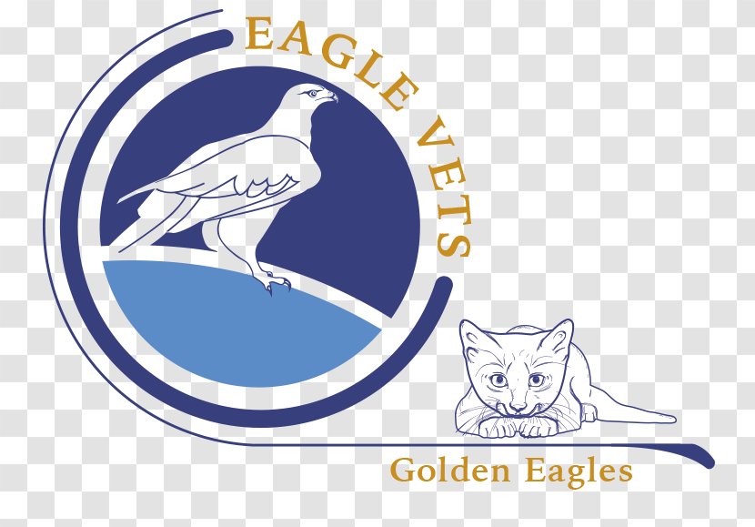 Eagle Vets (Minster) Beak Veterinarian Bird Of Prey - Kent - Senior Care Referral Services Oklahoma Transparent PNG