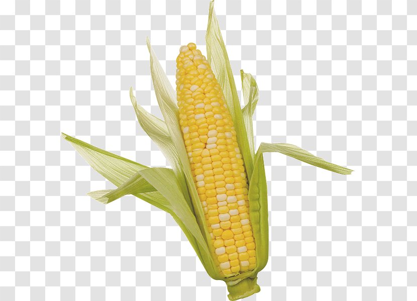 Corn On The Cob Clip Art Sweet Corncob - Commodity Transparent PNG
