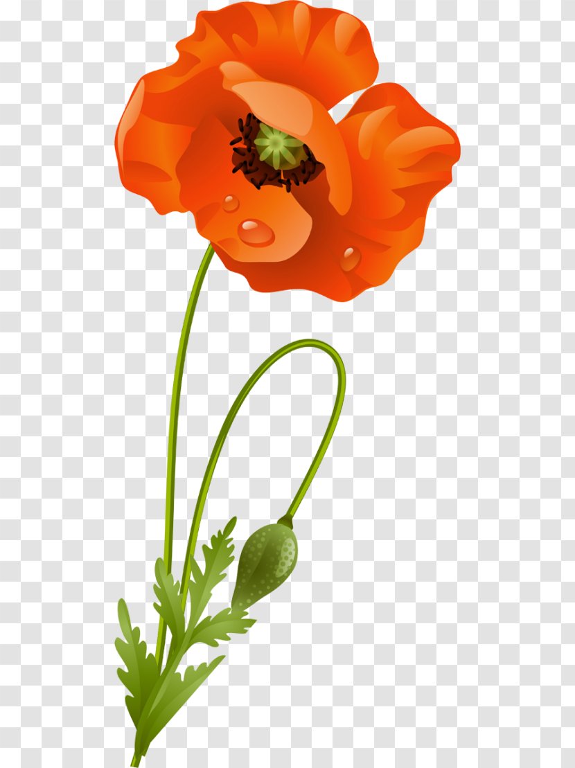 Flower Google Images Blume Clip Art Transparent Png