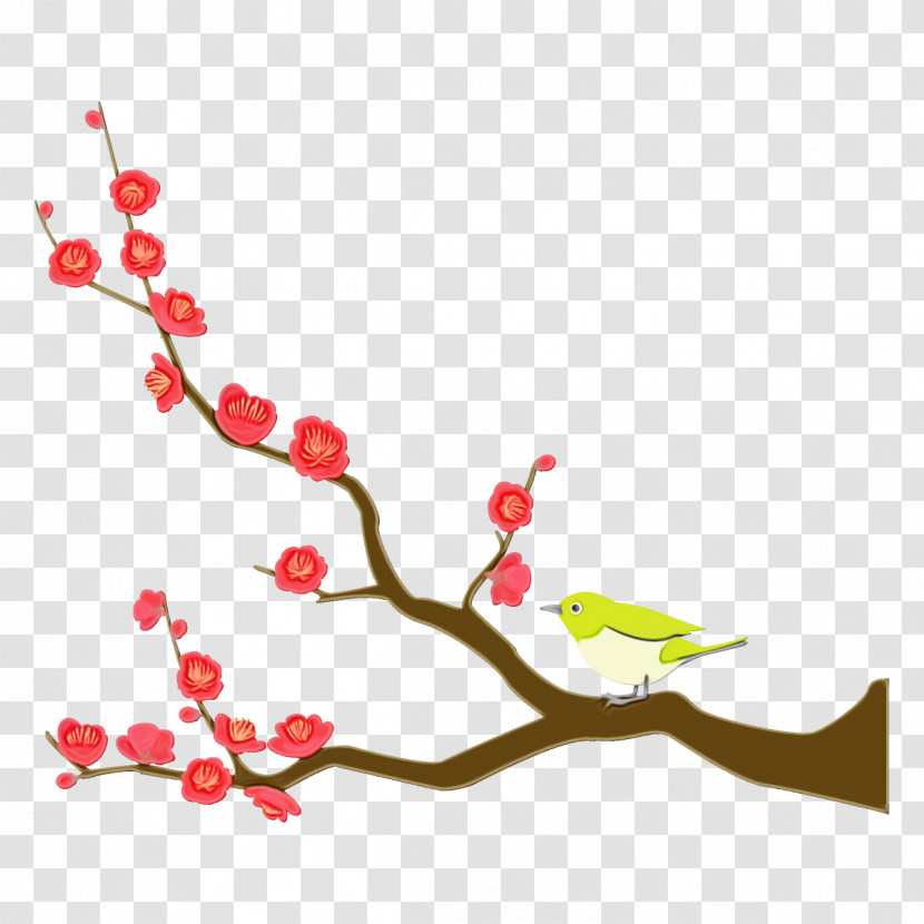 Cherry Blossom Transparent PNG