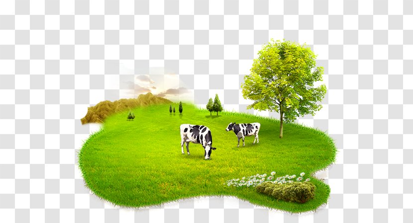Cattle Powdered Milk A2 Cow & Gate - Pasture - Elements Transparent PNG