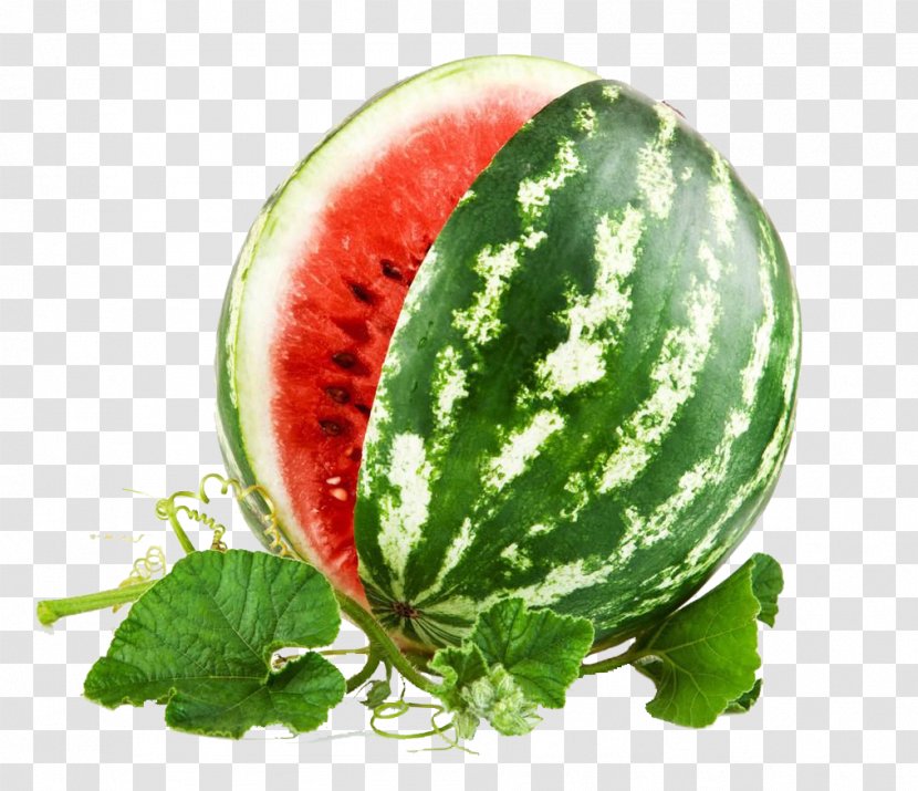 Watermelon Drawing Stock Photography Carving Clip Art - Cucumber Gourd And Melon Family Transparent PNG