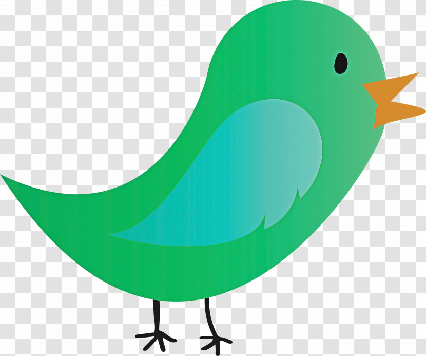 Bird Beak Green European Robin Songbird Transparent PNG
