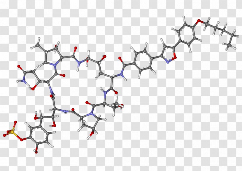 Micafungin Sodium Echinocandin Antifungal Mycosis - Pharmaceutical Drug Transparent PNG