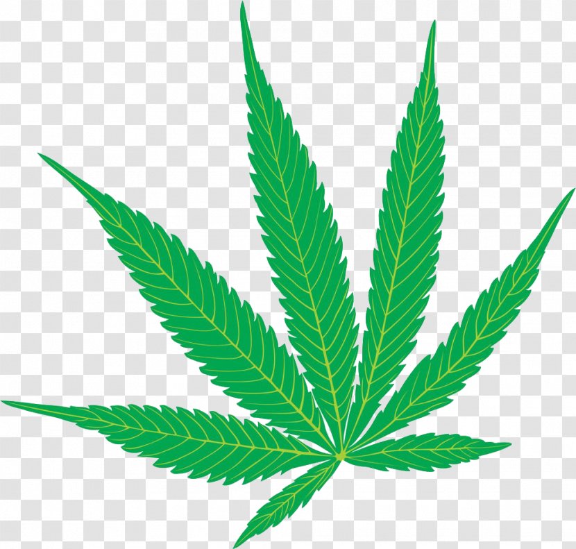 Cannabis Sativa Marijuana Hemp Clip Art - Grass - Leaves Illustrations Transparent PNG