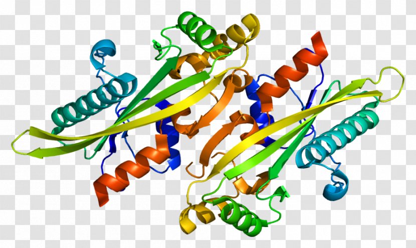Protein Structure Gene Wiki Enzyme - Frame - Silhouette Transparent PNG