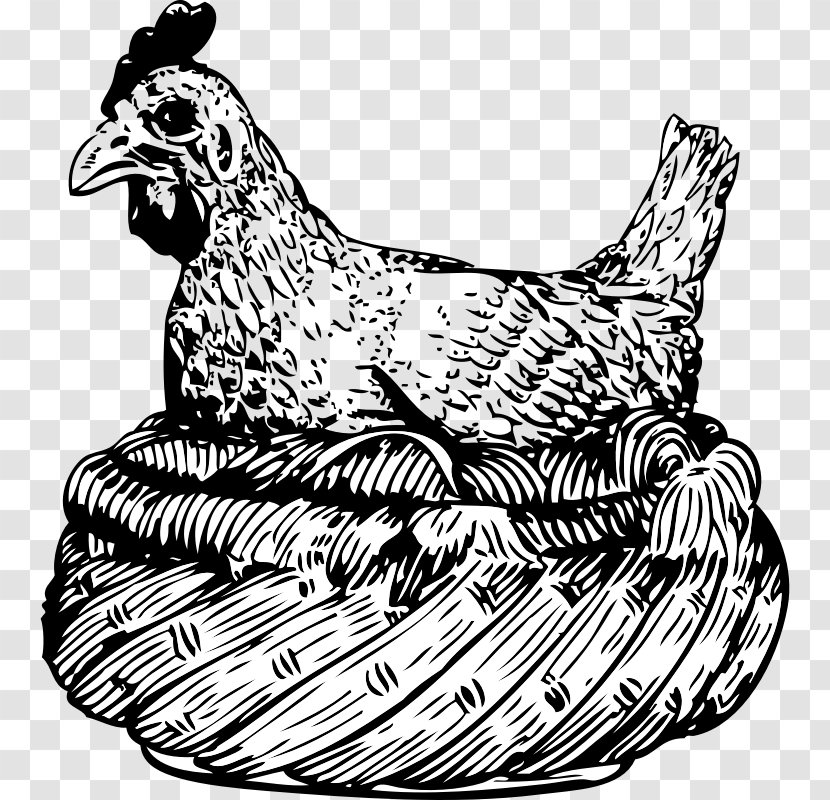 Chicken Hen Rooster Clip Art - Phasianidae Transparent PNG