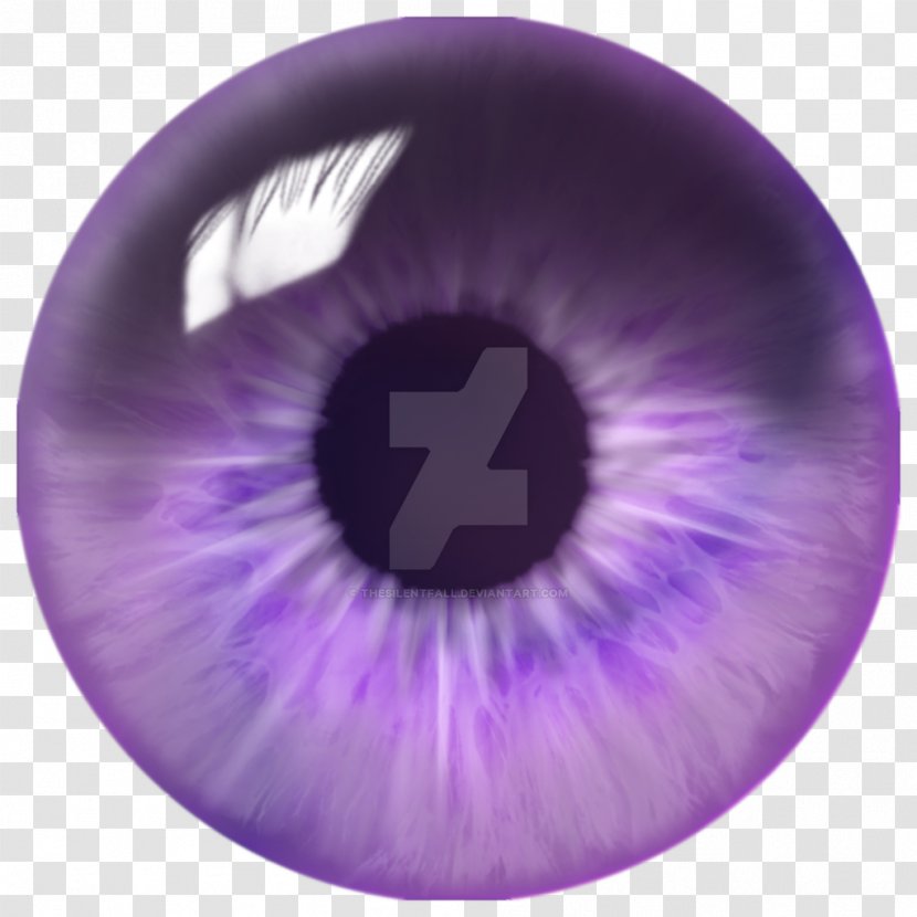 Iris Eye Quill Violet - Flower - Eyeball Transparent PNG