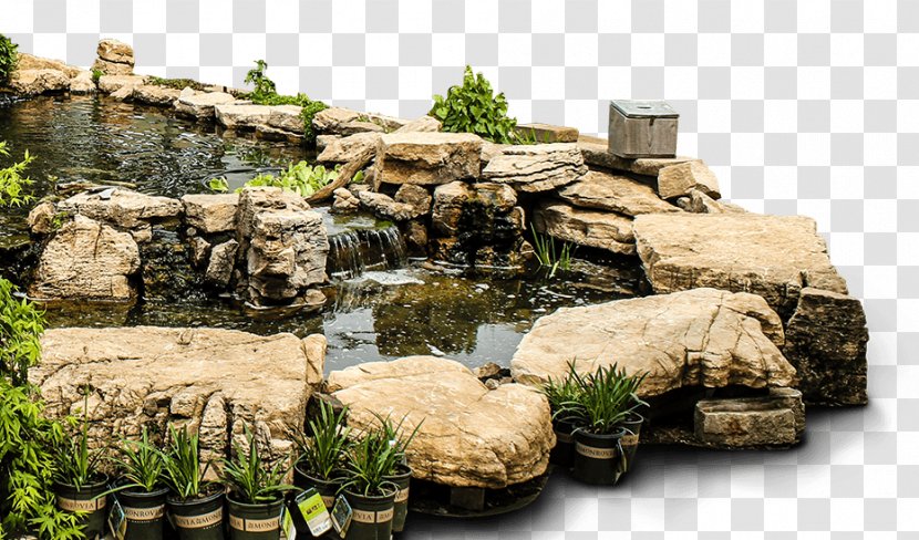 Rock Pond Garden Nursery Backyard - Seed Transparent PNG