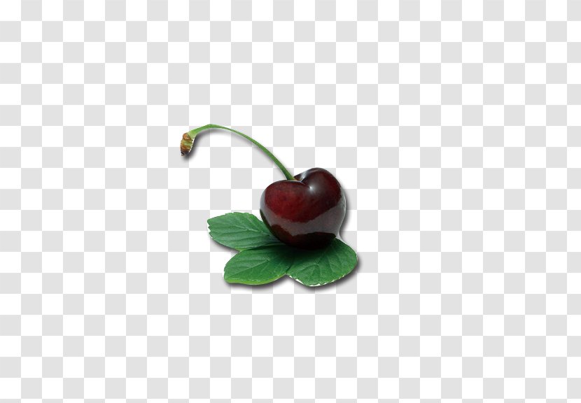 Cherry Berry Fruit Auglis - Photography Transparent PNG