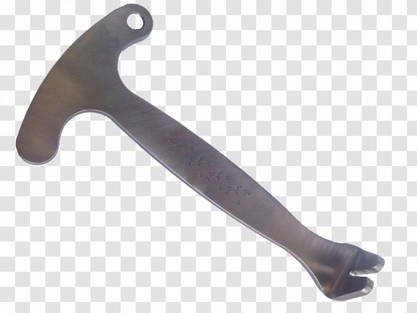 Tool DIY Store - Albatross Transparent PNG