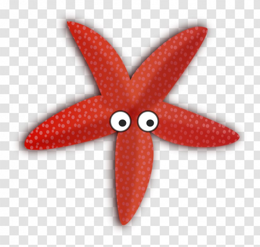 Clip Art Starfish Image Free Content - Echinoderm Transparent PNG