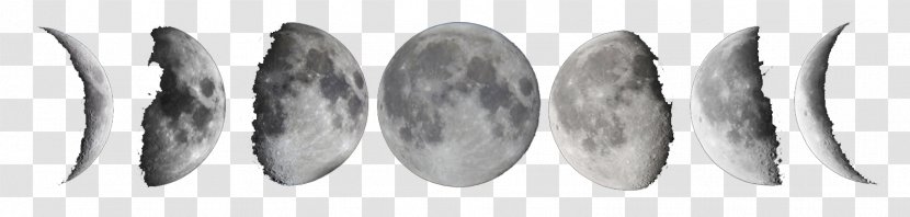 Lunar Phase New Moon Full - Black And White - Free Download Transparent PNG