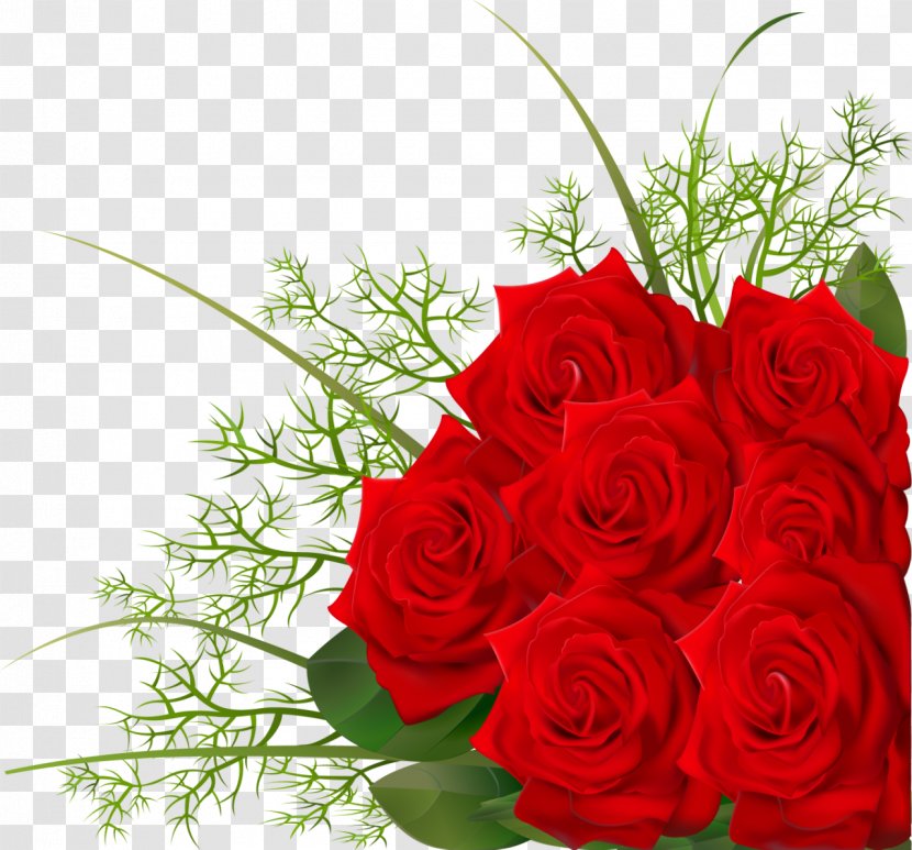 Garden Roses Flower Floral Design Petal - Rose Transparent PNG