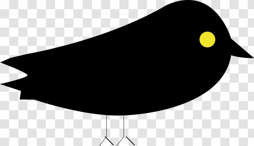 Halloween Crow - Perching Bird - Finch Transparent PNG
