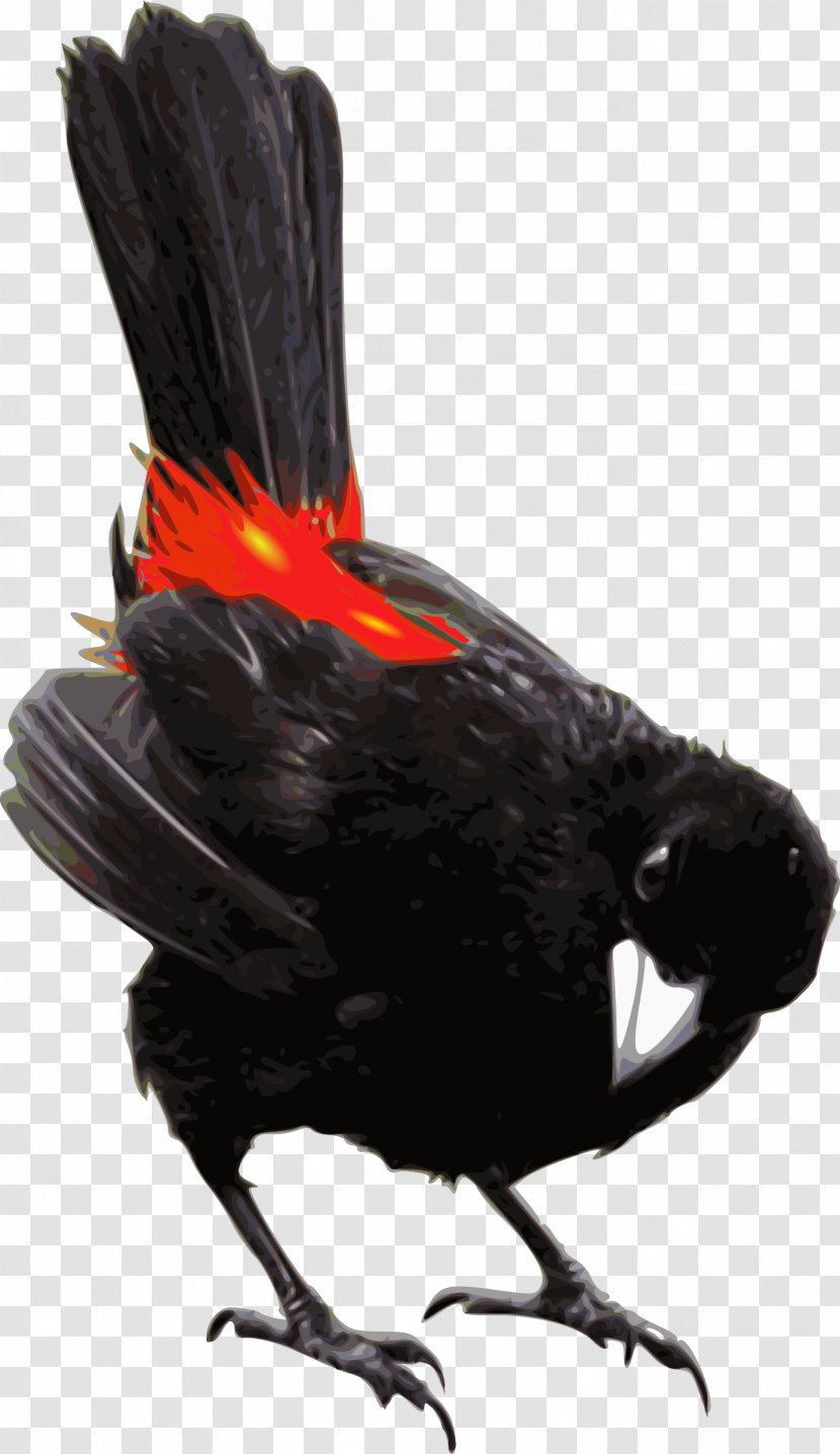 Bird Passerini's Tanager Scarlet Galliformes Beak - Passerini S - Witch Transparent PNG