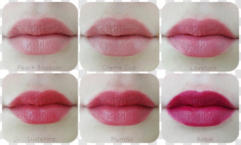 Lipstick MAC Cosmetics Lip Gloss - Peach Blossom Transparent PNG