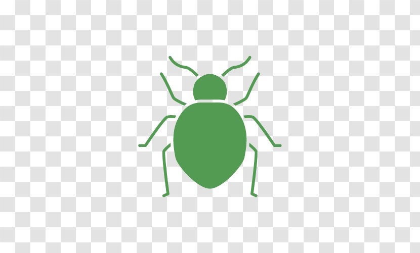 Bed Bug Bite Pest Mattress Protectors - Control Transparent PNG