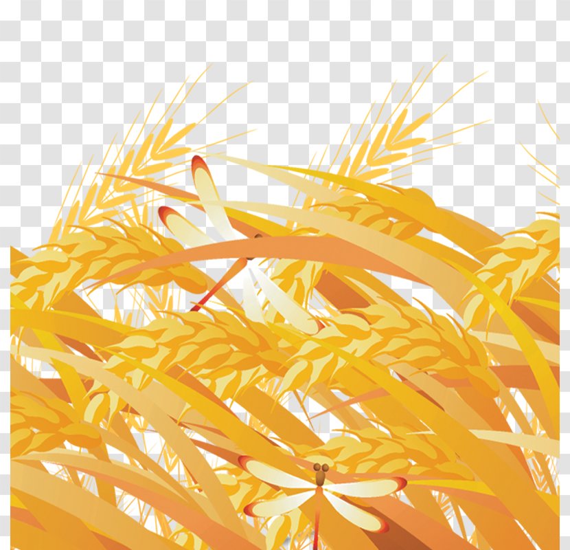 Yellow Grasses Fundal - Commodity - Rice Transparent PNG