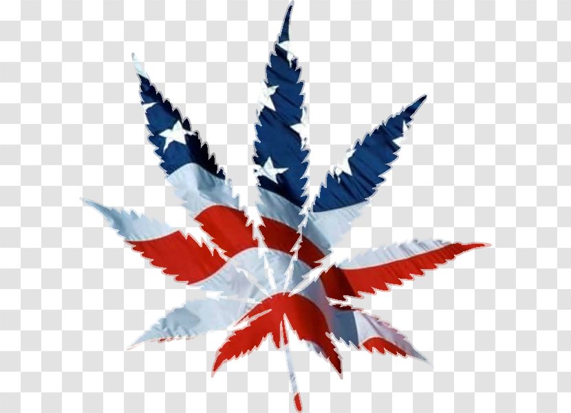 United States Medical Cannabis Hash, Marihuana & Hemp Museum - Joint - American Flag Transparent PNG