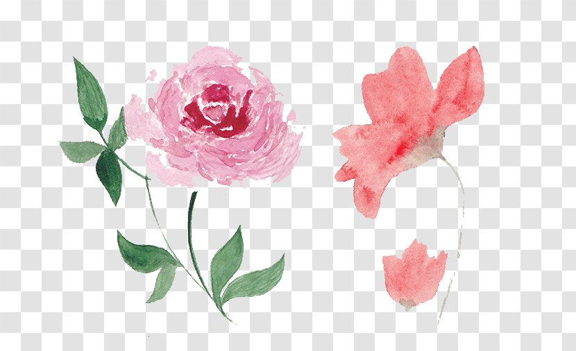 Watercolor: Flowers Watercolor Painting Clip Art Stock.xchng - Plant Transparent PNG