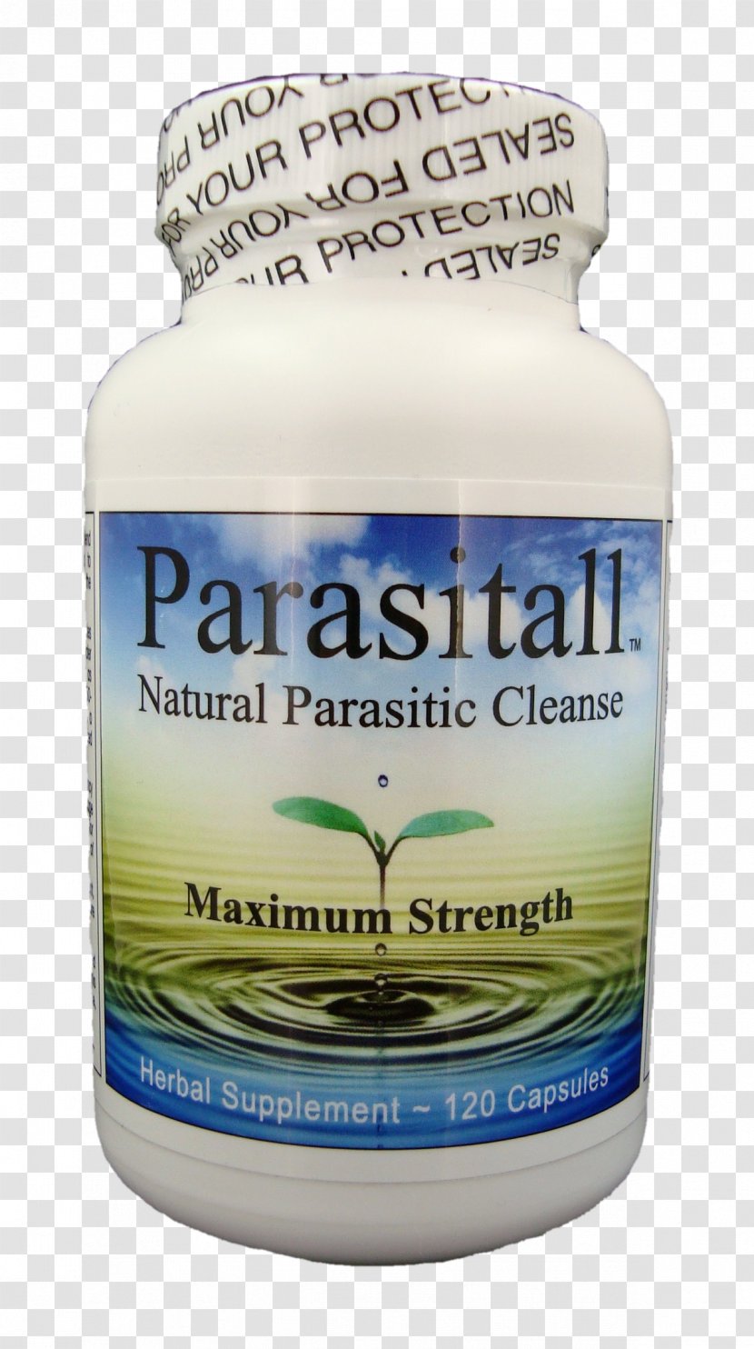 Dietary Supplement Parasitism Intestinal Parasite Infection Human Detoxification - Tapeworms - Natural Ingredients Transparent PNG