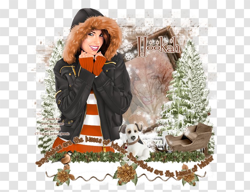 Fur Winter Animal Transparent PNG